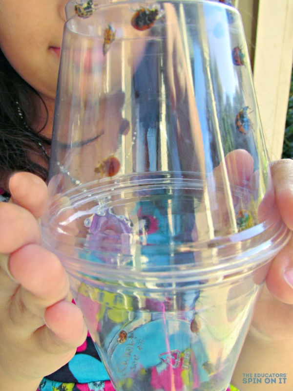 Observing-Ladybugs-from-the-Educators-Spin-On-it-1-1 - The Educators' Spin On It Child holding two clear cups filled with ladybugs that they've discovered as part of ladybug science experiment