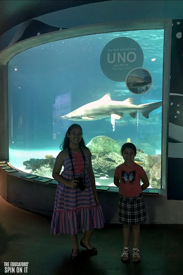 OdySea Aquarium featuring Sharks - The Educators' Spin On It OdySea Aquarium featuring Sharks