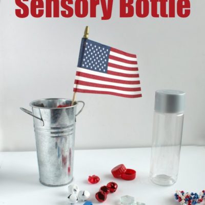 Patriotic Magnetic Sensory Bottle for Kids