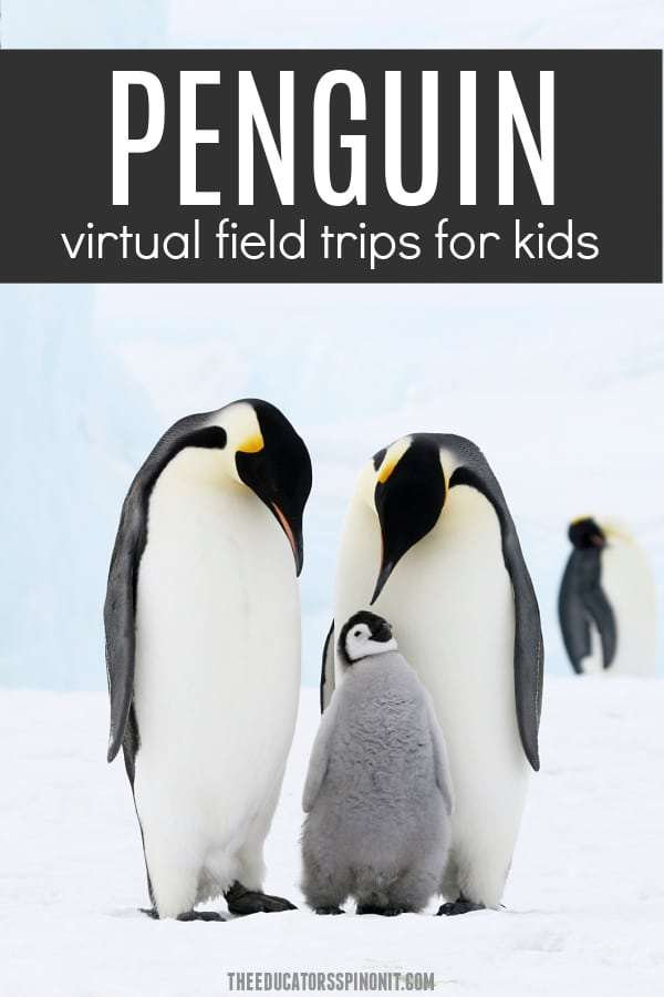 penguin-virtual-field-trips-for-kids - The Educators' Spin On It The ultimate collection of penguin virtual field trips for Kids