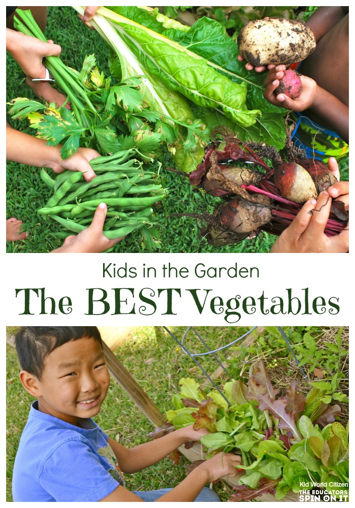 The best vegetables to grow with kids in your garden - The Educators' Spin On It Vegetables harvested from a backyard garden with kids