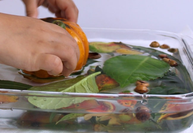 playing-with-pumpkins-in-water - The Educators' Spin On It Play with Pumpkins in Water with Kids