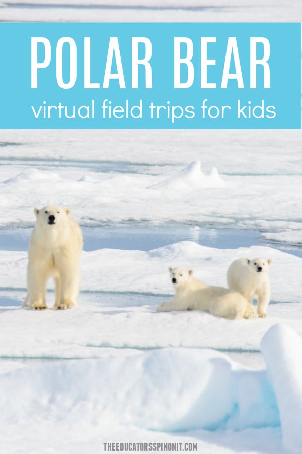 polar-bear-virtual-field-trips-for-kids - The Educators' Spin On It Polar Bear Virtual Field Trips for Kids