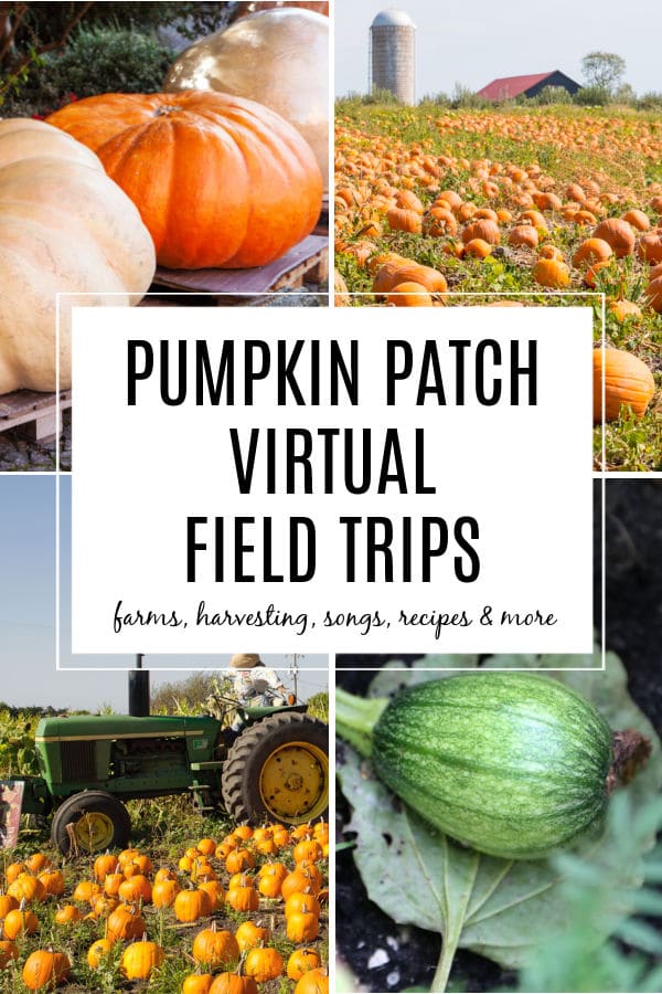 pumpkin-patch-virtual-field-trips-for-kids - The Educators' Spin On It Virtual Pumpkin Patch Field Trips for Kids
