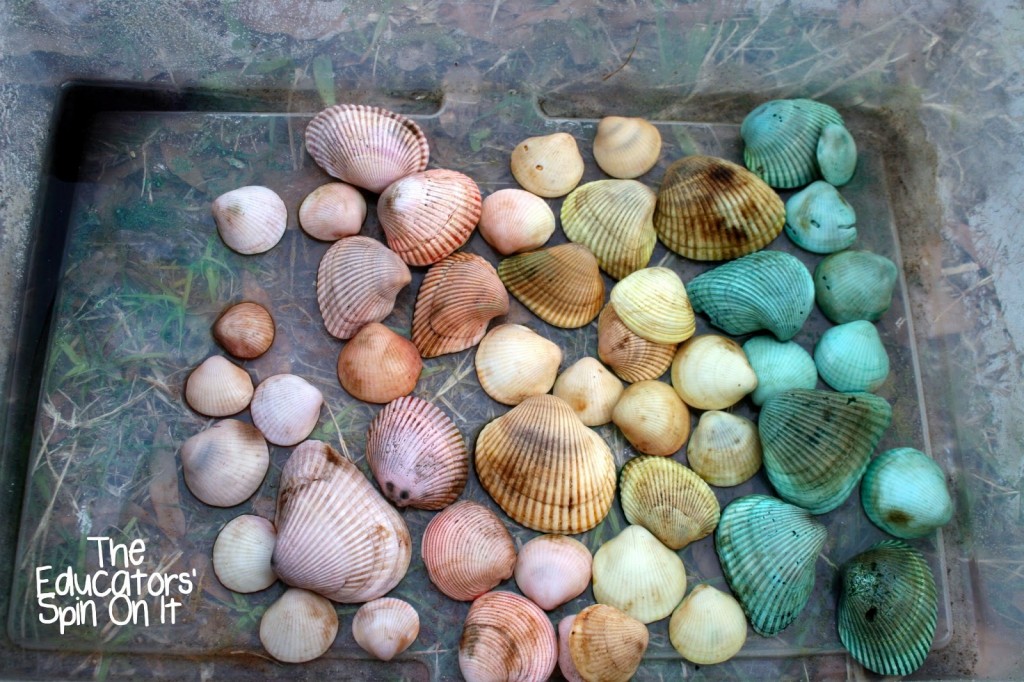 Rainbow+Shells+from+leftover+Egg+Dye.jpg - The Educators' Spin On It