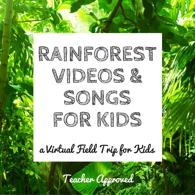 RAINFOREST VIDEOS & SONGSFOR KIDS - The Educators' Spin On It Rainforest Videos and Songs for Kids. A virtual field trip the kids will love to the jungle!