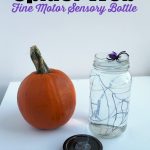 Spider Web Fine Motor Sensory Bottle