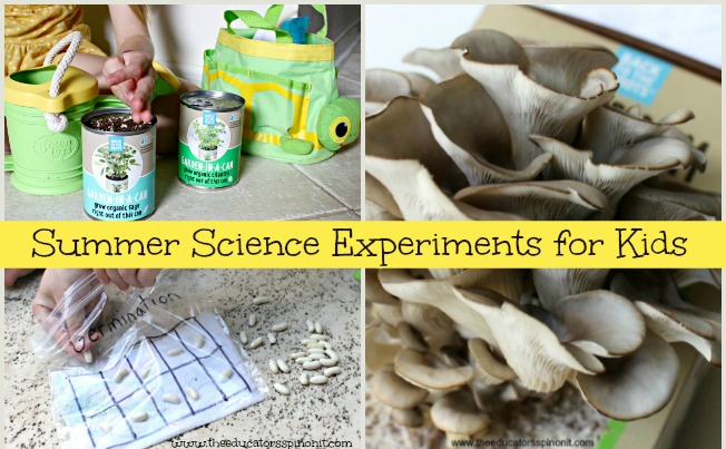 Summer Science - The Educators' Spin On It BEST summer science projects for kids to make and observe