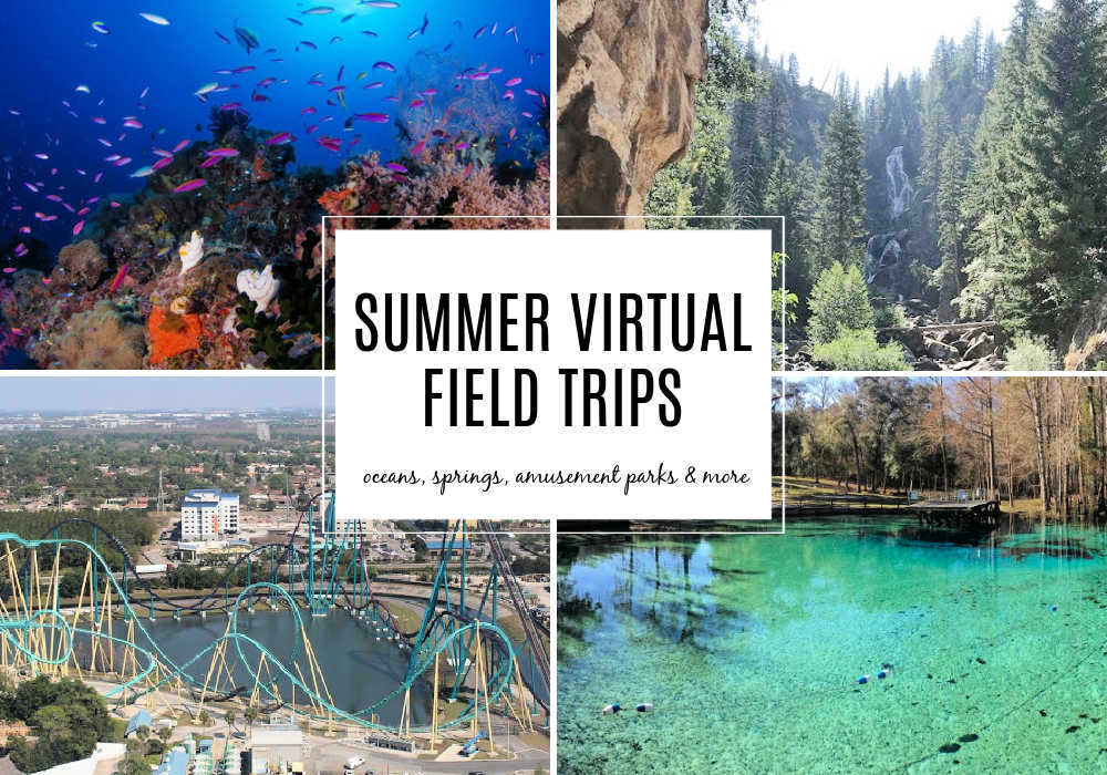 summer-virtual-field-trips-for-kids-1 - The Educators' Spin On It Summer Virtual Field Trips for kids. Explore Oceans, Beaches, Amusement Parks, Springs and more!