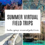 Summer Virtual Field Trips for kids. Explore Oceans, Beaches, Amusement Parks, Springs and more!