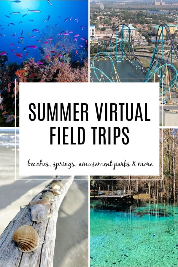 summer-virtual-field-trips-for-kids - The Educators' Spin On It Summer Virtual Field Trips for kids. Explore Oceans, Beaches, Amusement Parks, Springs and more!