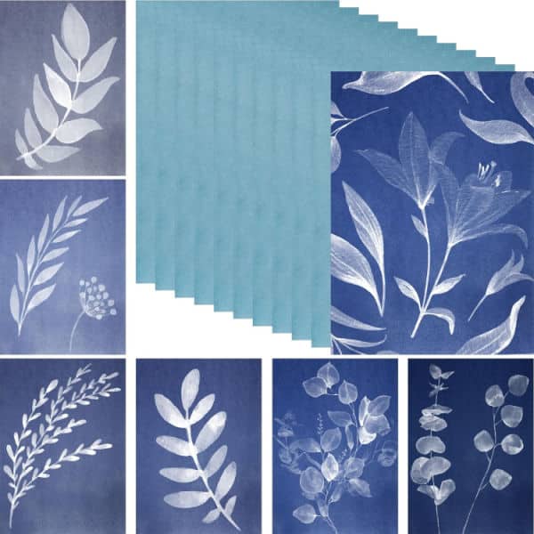 sunprint-paper-kit - The Educators' Spin On It Sunprint Paper Kit