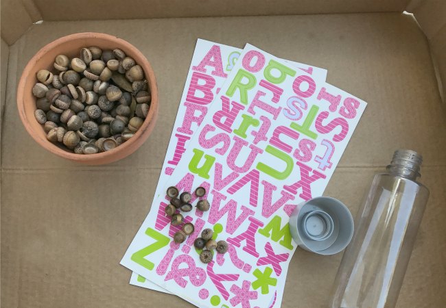 Supplies for Acorn Alphabet Sensory Bottle Game for Preschoolers - The Educators' Spin On It Supplies for Acorn Alphabet Sensory Bottle Game for Preschoolers