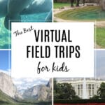 virtual field trips for kids featuring white house, yosemite, manatees and elephants and DC zoo