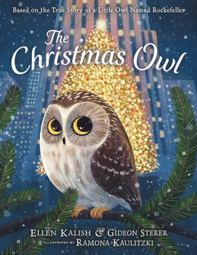 the-christmas-owl - The Educators' Spin On It The Christmas Owl