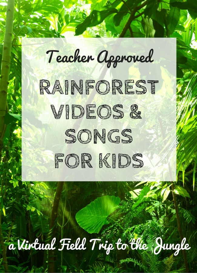 Virtual Field Trip to the Rainforest for kids - The Educators' Spin On It