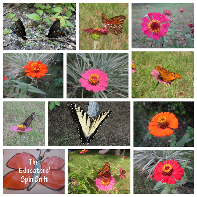 Wings+at+our+house.jpg - The Educators' Spin On It