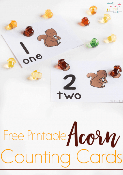 Couting-Cards-Acorns-pin-500x714-1 - The Educators' Spin On It Counting Cards with Acorns