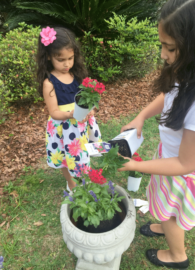 Creating Flower Pots for Butterfly Garden - The Educators' Spin On It Creating Flower Pots for Butterfly Garden