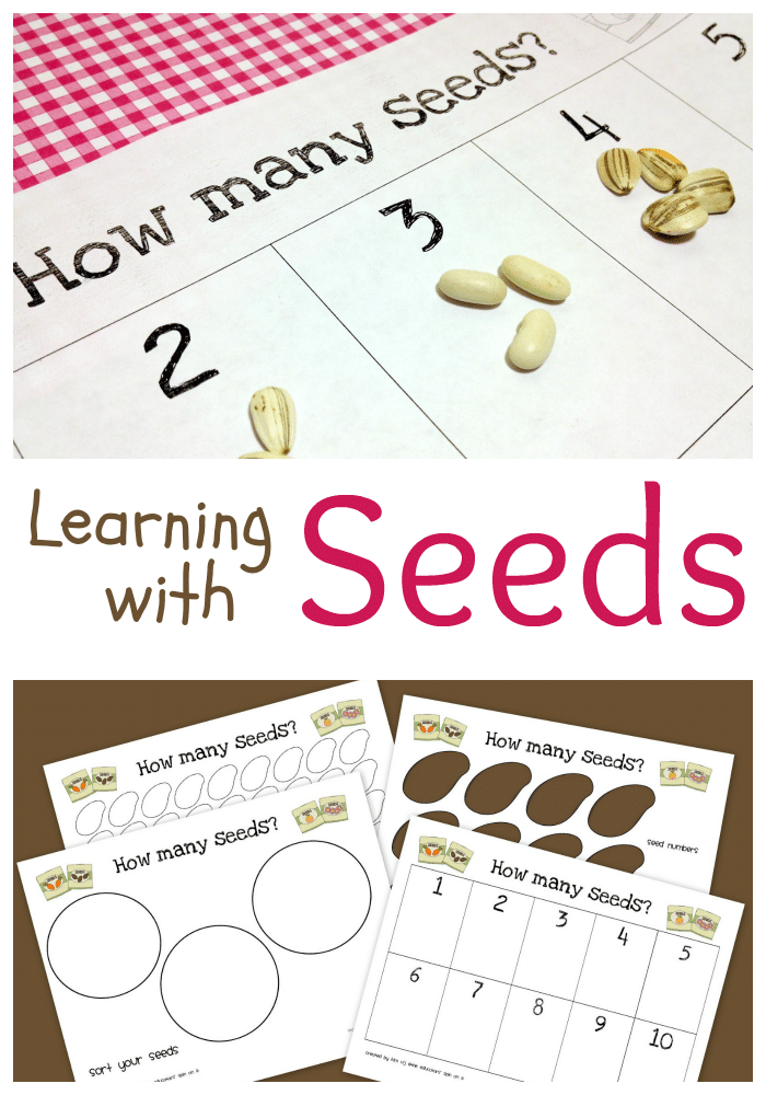 Learning+with+Seeds+.png - The Educators' Spin On It Learning with Seeds Printable inspired by the book The Tiny Seed