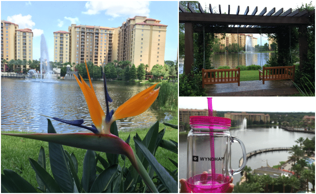 Tips for Planning a Vacation Getaway with Extended Family