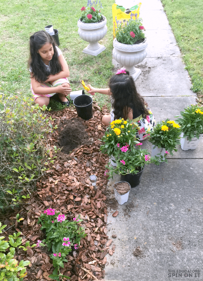 Planting Flowers for Butterfly Garden - The Educators' Spin On It Planting Flowers for Butterfly Garden