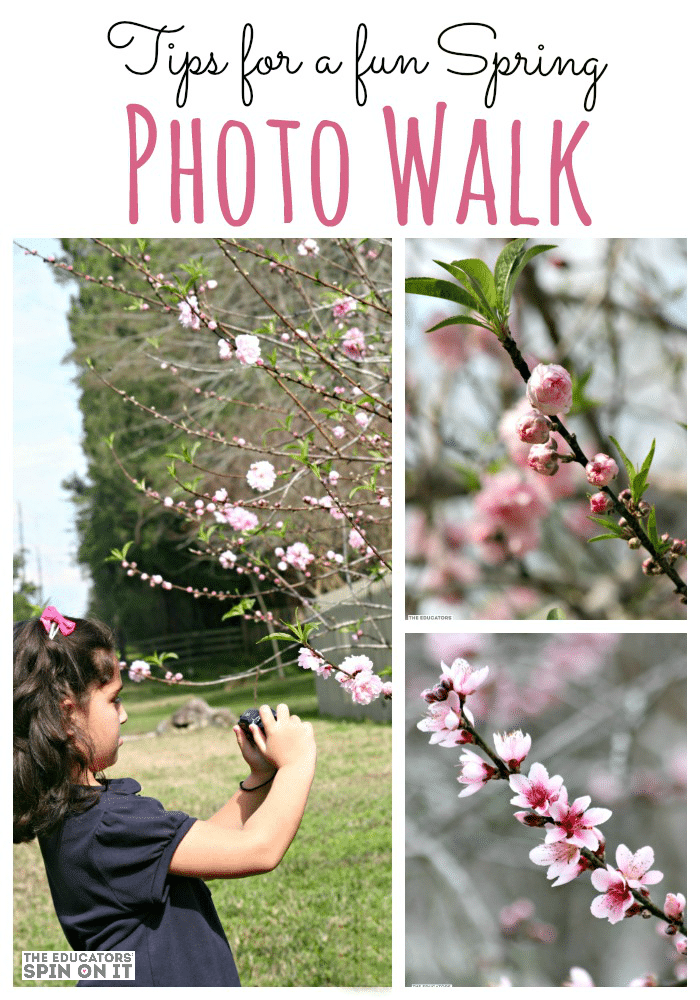 Spring Photos Walk by The Educators' Spin On It - The Educators' Spin On It child with camera taking Spring Photos of flowers in trees