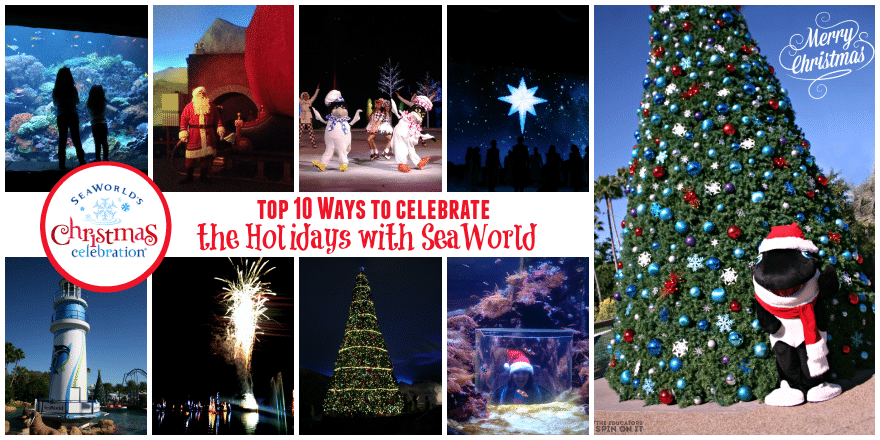 Tips for enjoying SeaWorld Christmas Celebration from The Educators' Spin On It