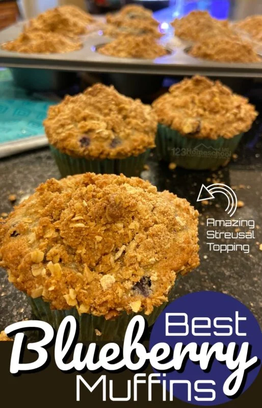best-blueberry-muffins-514x800 - The Educators' Spin On It Blueberry Muffins with Streusel